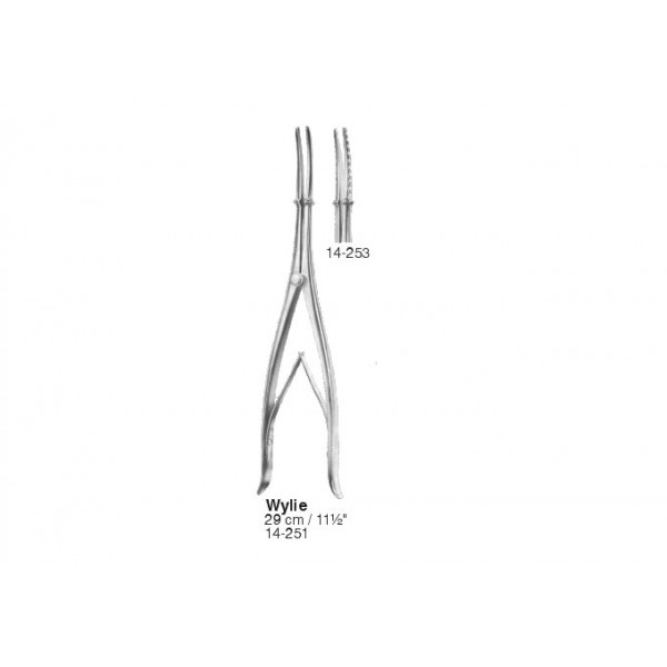 Gynecology, Obstetrics